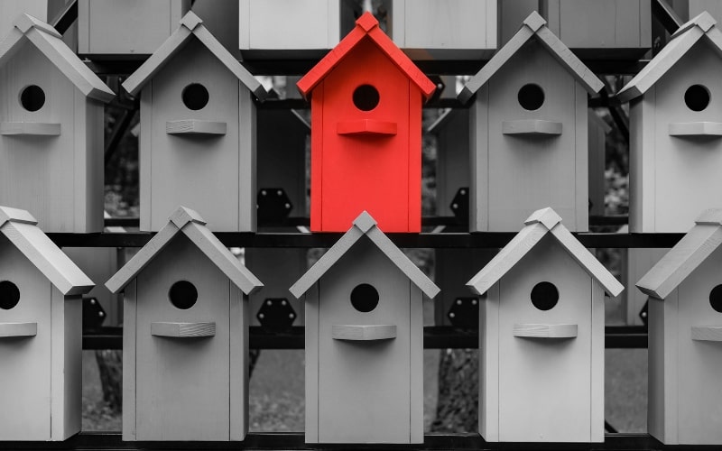 Designing Eye-Catching Thumbnails