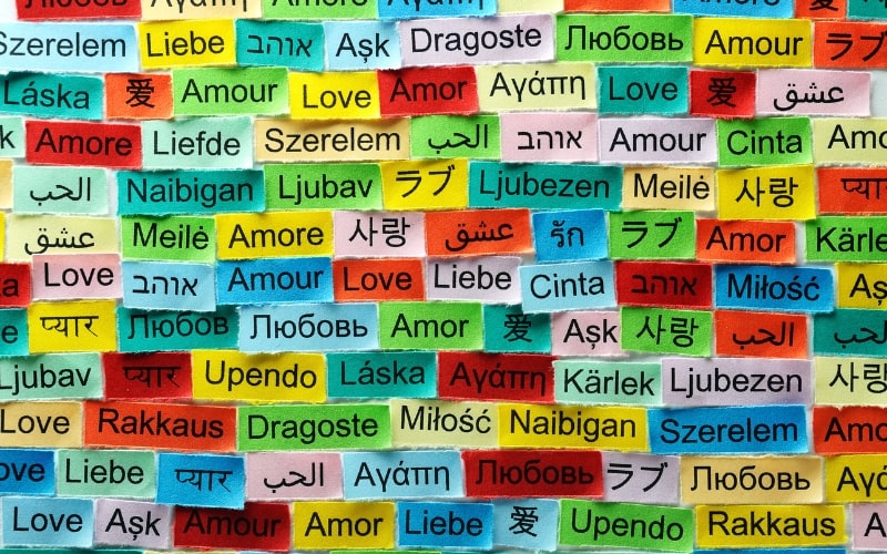 Managing Multilingual Websites