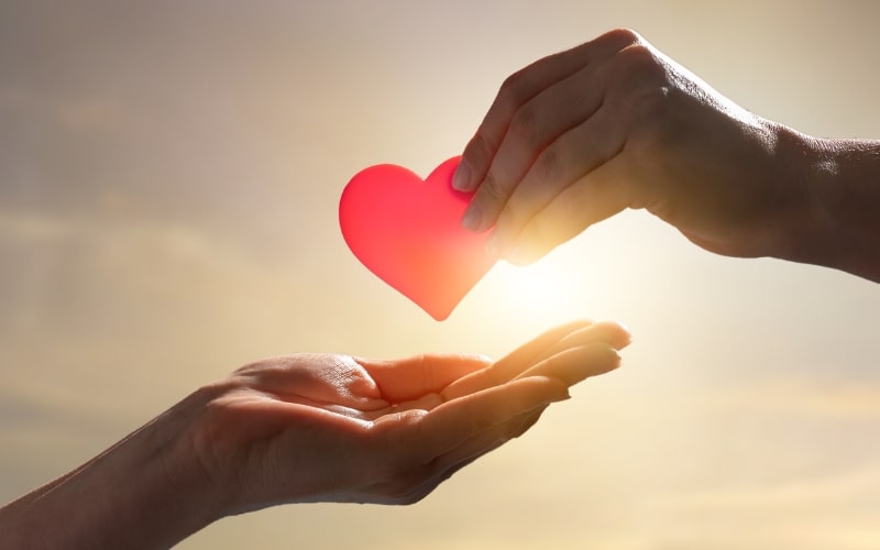 Understanding the Importance of Heartfelt Donation Request Emails
