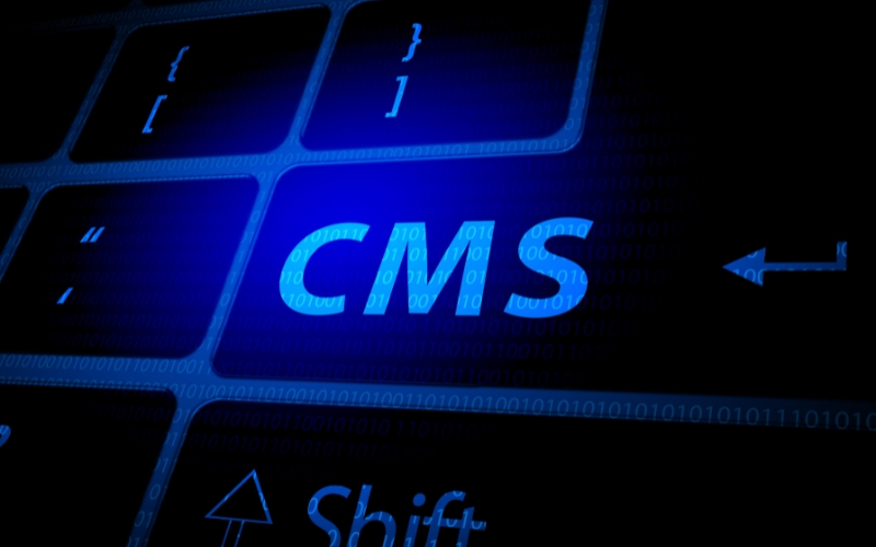 Evaluating Security and Support for Your CMS