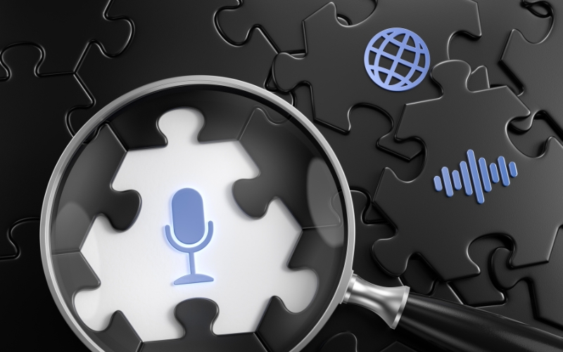 Key Features of Voice Search Queries